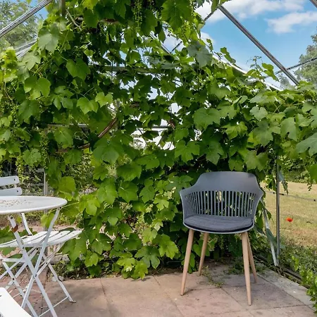 3 Bedroom Awesome In Prázdninový dům Bogø By